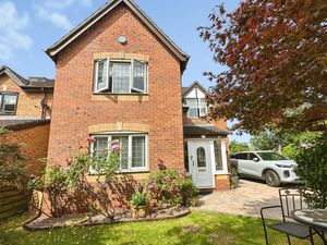 Front garden- click for photo gallery